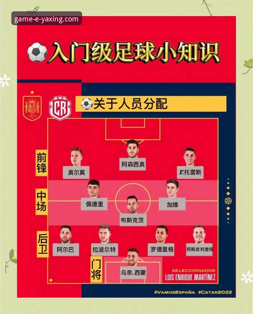 亚星游戏平台体育赛事观看与深度解析操作教程